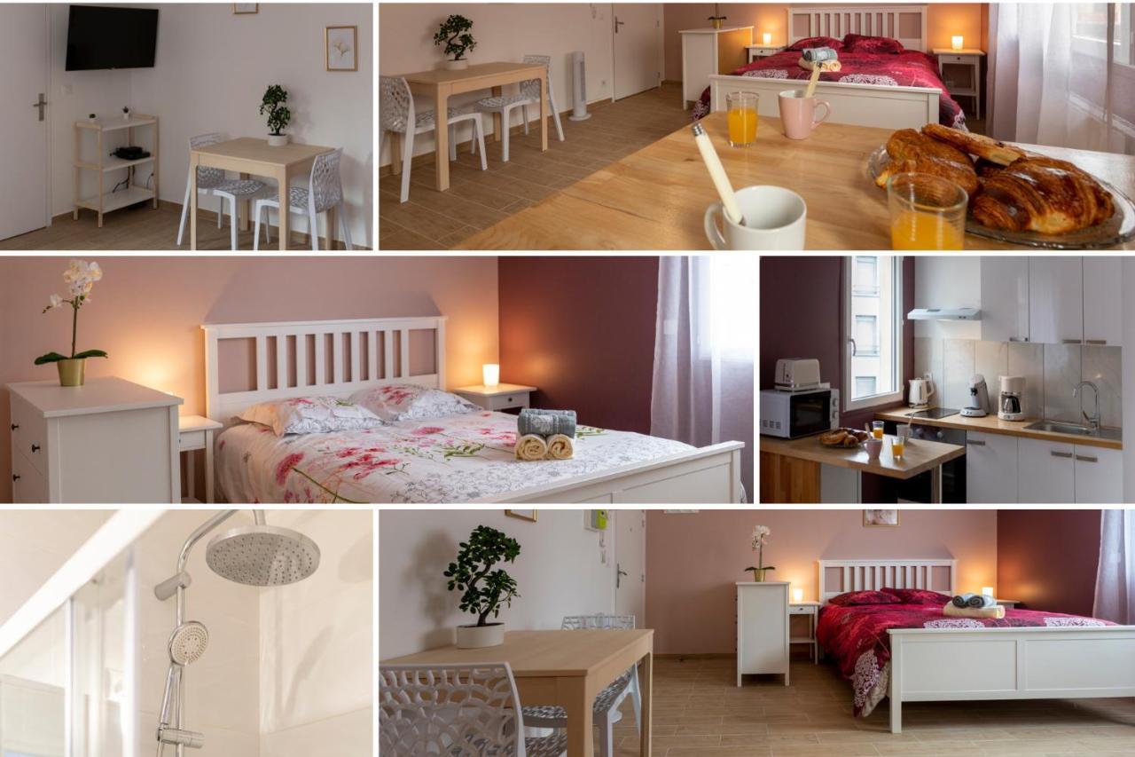 Loc Trotteur Le Pivoine Studio Grand Confort, Gare Sncf De Lourdes Eksteriør bilde
