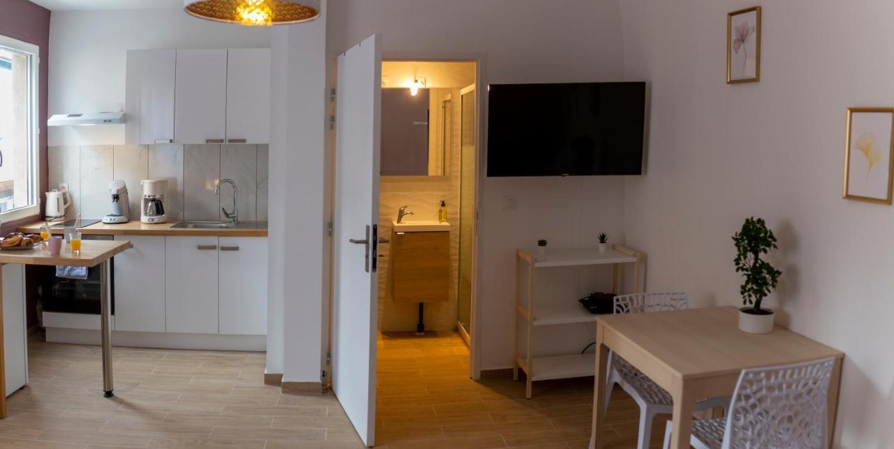 Loc Trotteur Le Pivoine Studio Grand Confort, Gare Sncf De Lourdes Eksteriør bilde